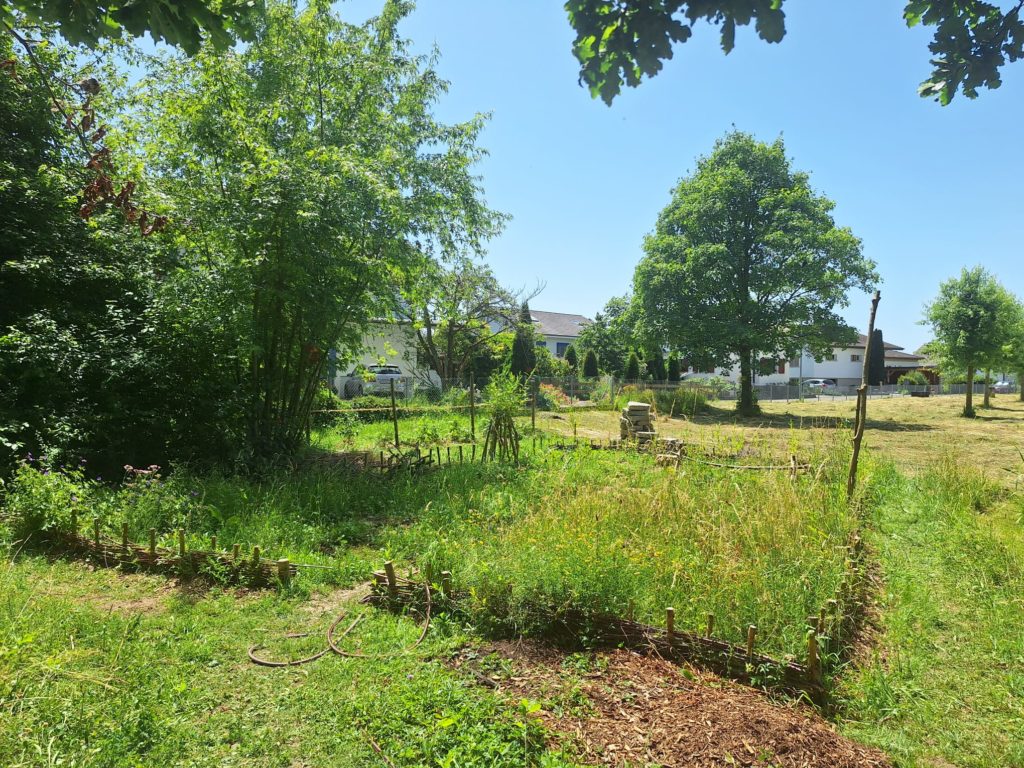 Schulgarten OS Wünnewil